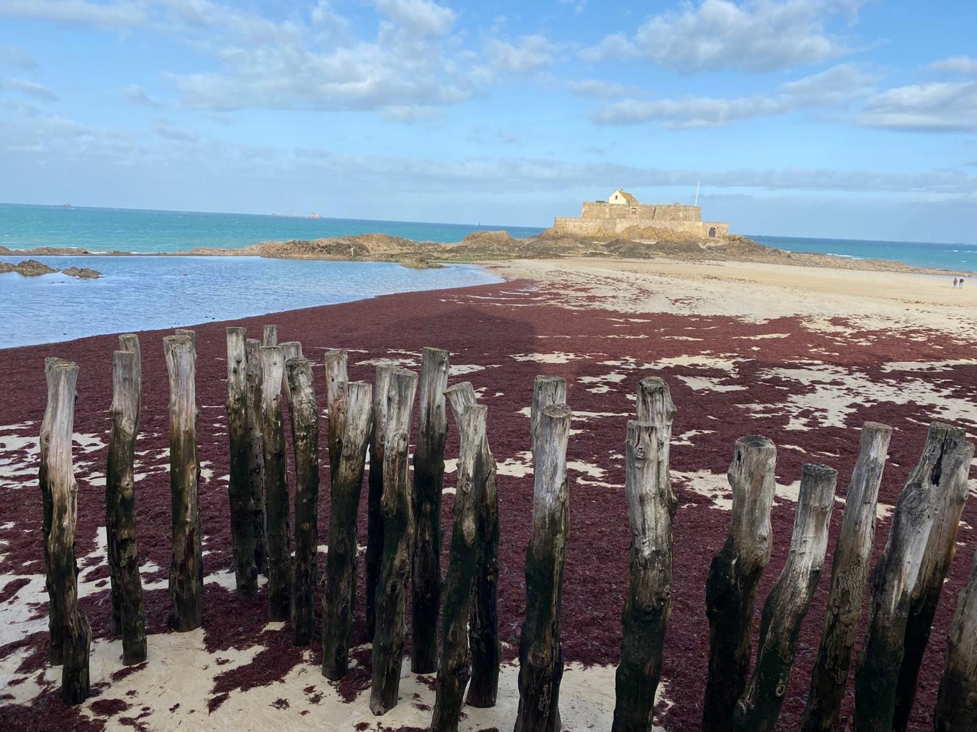 Maison Baie Du Mont Saint-Michel Cherrueix 外观 照片
